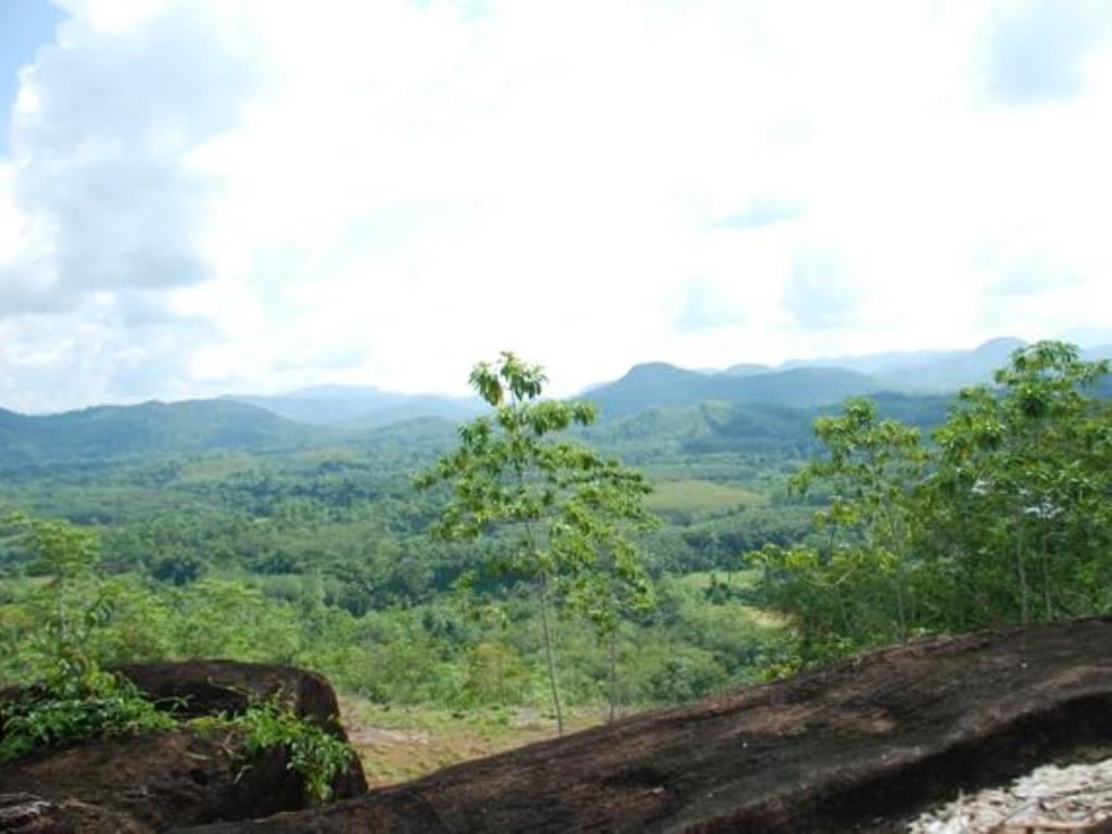 Nature Lovers Resort Ingiriya Buitenkant foto